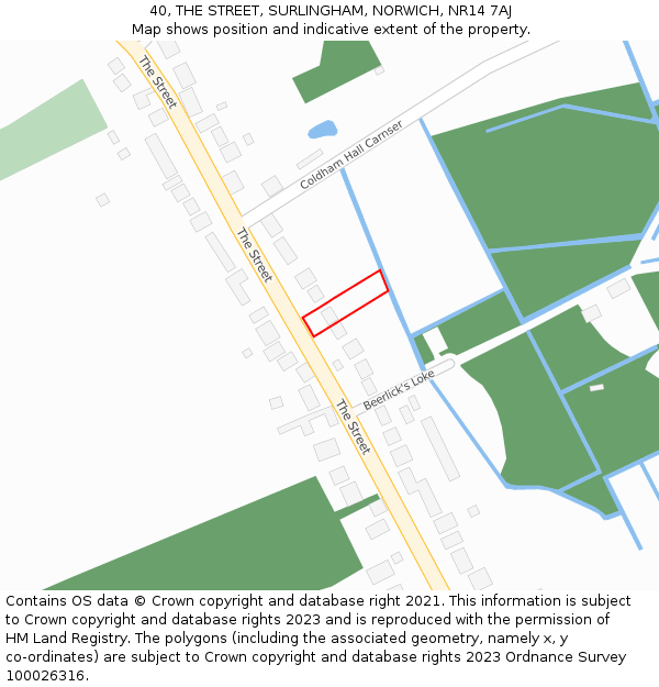 40, THE STREET, SURLINGHAM, NORWICH, NR14 7AJ: Location map and indicative extent of plot