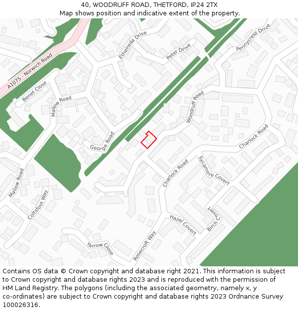 40, WOODRUFF ROAD, THETFORD, IP24 2TX: Location map and indicative extent of plot