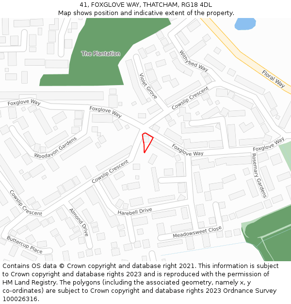41, FOXGLOVE WAY, THATCHAM, RG18 4DL: Location map and indicative extent of plot