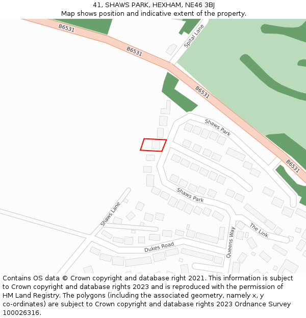 41, SHAWS PARK, HEXHAM, NE46 3BJ: Location map and indicative extent of plot