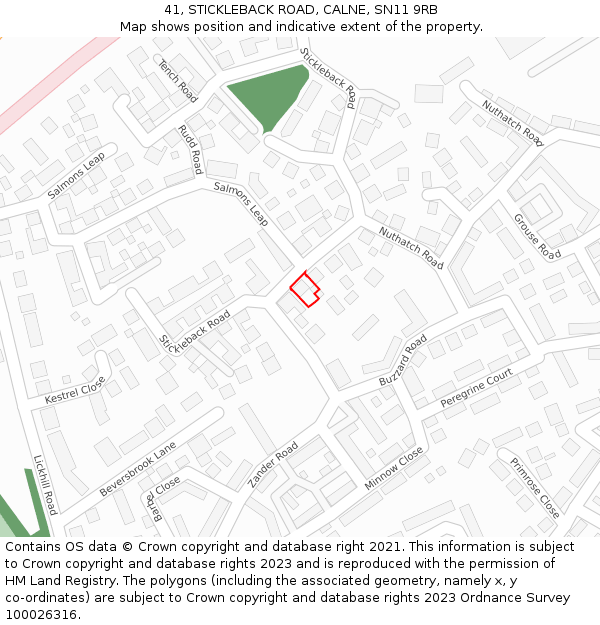 41, STICKLEBACK ROAD, CALNE, SN11 9RB: Location map and indicative extent of plot