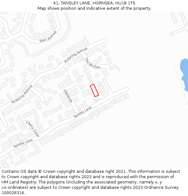 41, TANSLEY LANE, HORNSEA, HU18 1TS: Location map and indicative extent of plot