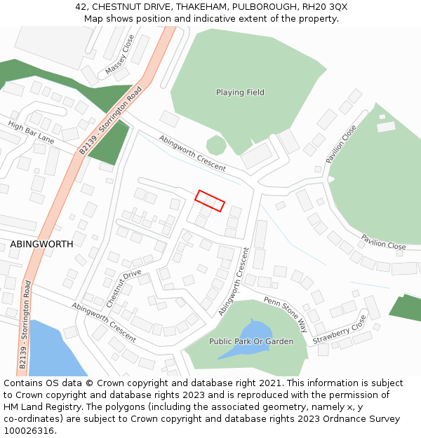 42, CHESTNUT DRIVE, THAKEHAM, PULBOROUGH, RH20 3QX: Location map and indicative extent of plot