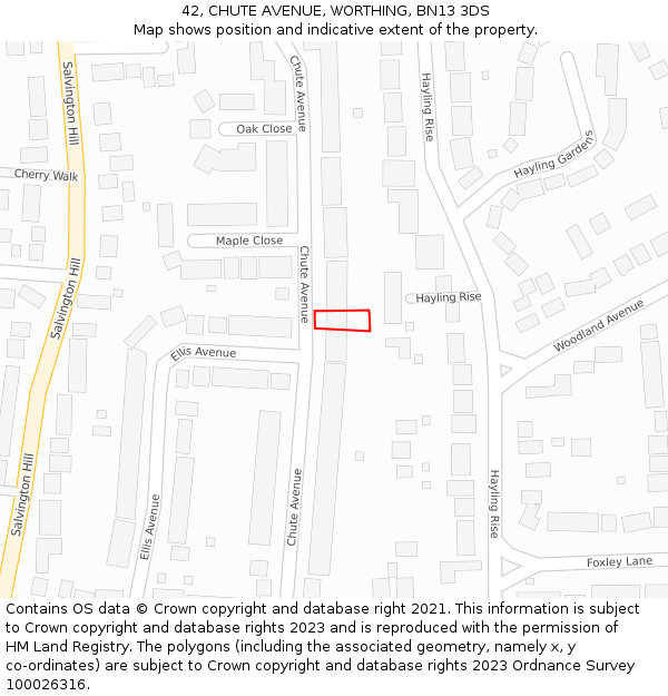 42, CHUTE AVENUE, WORTHING, BN13 3DS: Location map and indicative extent of plot