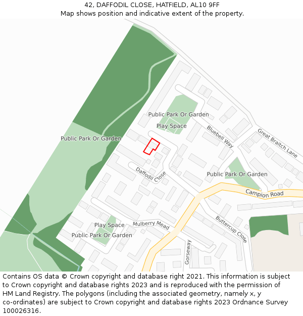 42, DAFFODIL CLOSE, HATFIELD, AL10 9FF: Location map and indicative extent of plot