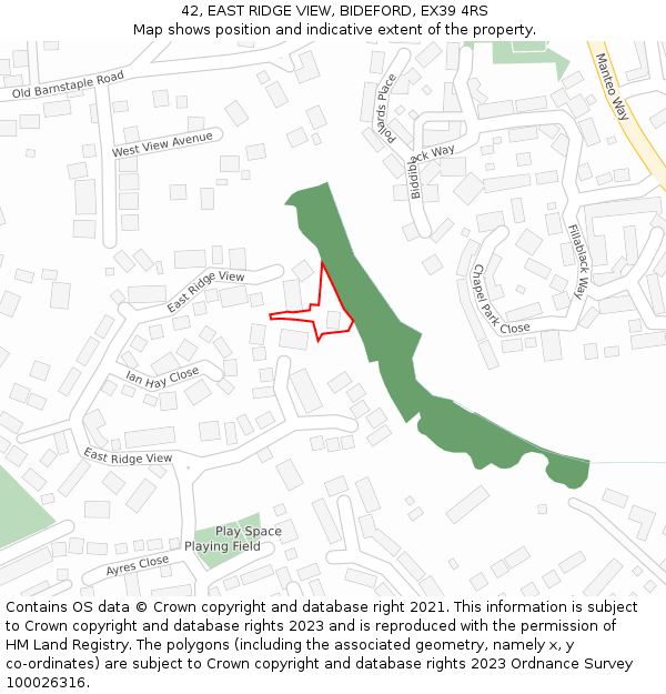 42, EAST RIDGE VIEW, BIDEFORD, EX39 4RS: Location map and indicative extent of plot