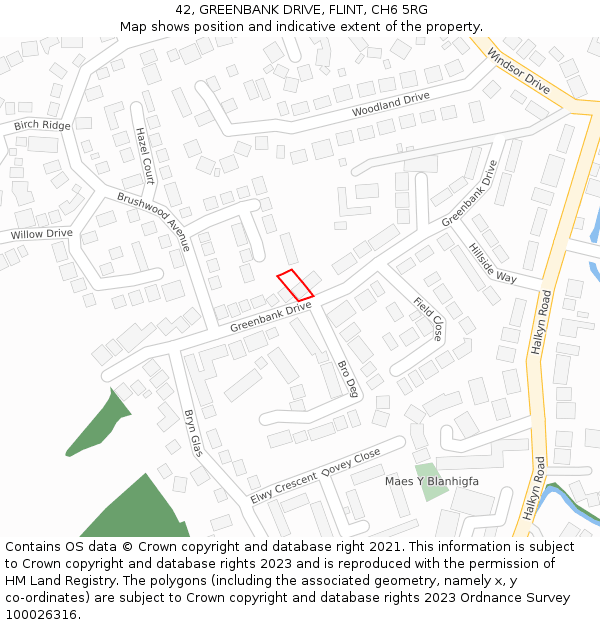 42, GREENBANK DRIVE, FLINT, CH6 5RG: Location map and indicative extent of plot