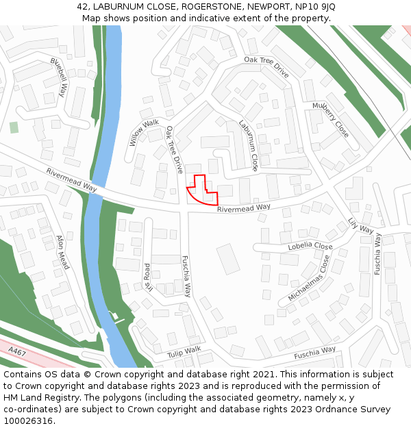 42, LABURNUM CLOSE, ROGERSTONE, NEWPORT, NP10 9JQ: Location map and indicative extent of plot