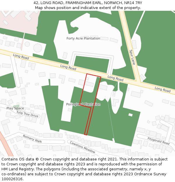 42, LONG ROAD, FRAMINGHAM EARL, NORWICH, NR14 7RY: Location map and indicative extent of plot