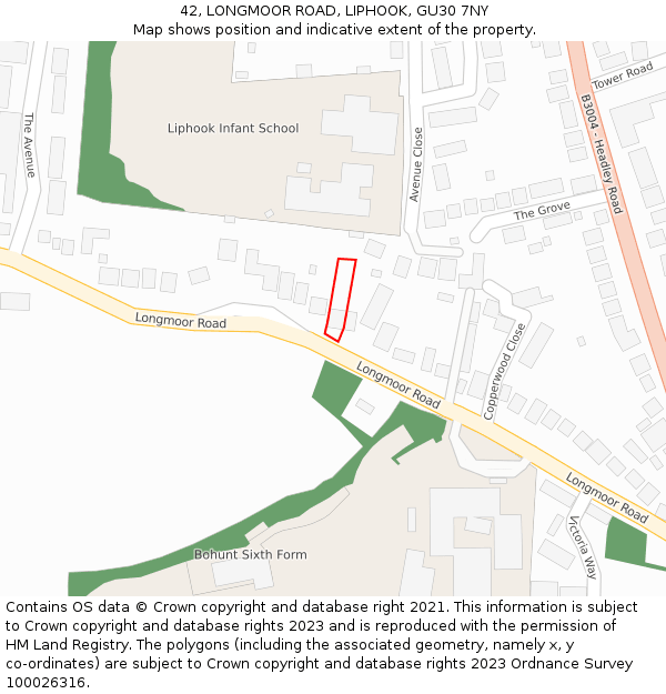 42, LONGMOOR ROAD, LIPHOOK, GU30 7NY: Location map and indicative extent of plot