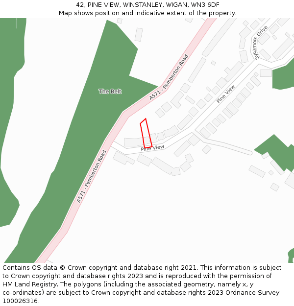 42, PINE VIEW, WINSTANLEY, WIGAN, WN3 6DF: Location map and indicative extent of plot