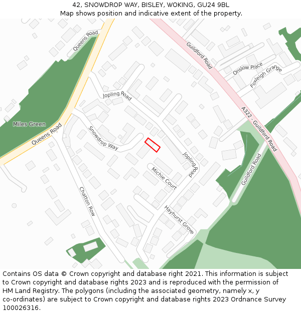 42, SNOWDROP WAY, BISLEY, WOKING, GU24 9BL: Location map and indicative extent of plot