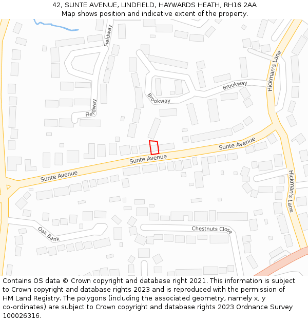 42, SUNTE AVENUE, LINDFIELD, HAYWARDS HEATH, RH16 2AA: Location map and indicative extent of plot