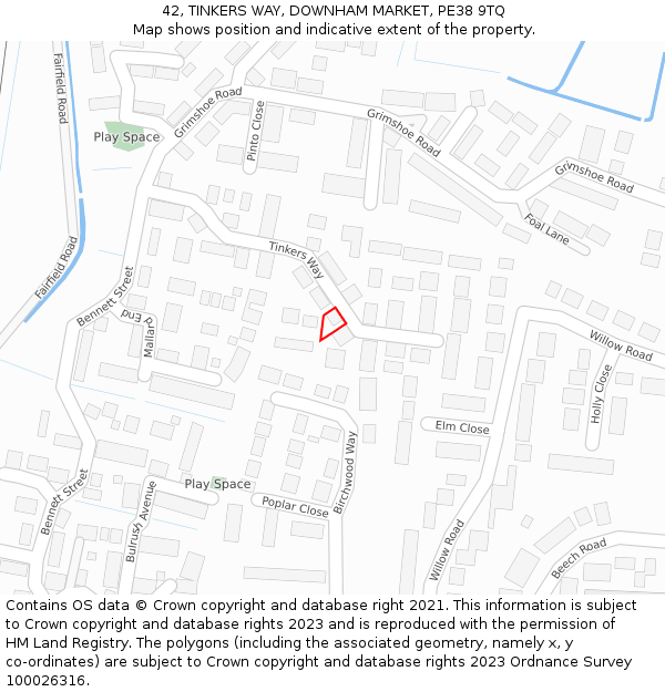42, TINKERS WAY, DOWNHAM MARKET, PE38 9TQ: Location map and indicative extent of plot