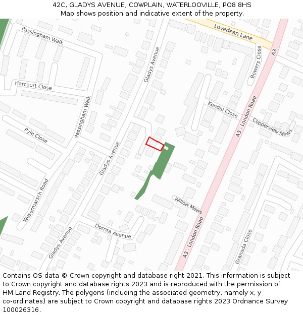 42C, GLADYS AVENUE, COWPLAIN, WATERLOOVILLE, PO8 8HS: Location map and indicative extent of plot