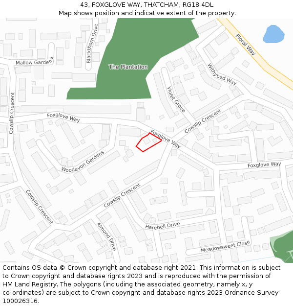 43, FOXGLOVE WAY, THATCHAM, RG18 4DL: Location map and indicative extent of plot