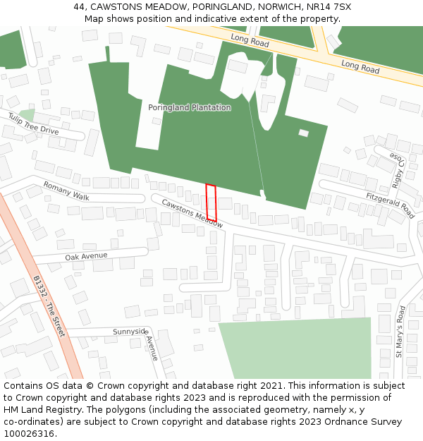 44, CAWSTONS MEADOW, PORINGLAND, NORWICH, NR14 7SX: Location map and indicative extent of plot