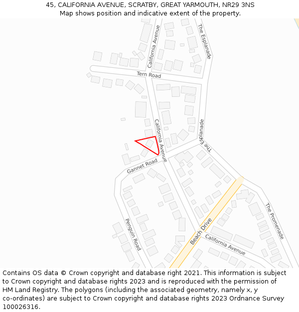 45, CALIFORNIA AVENUE, SCRATBY, GREAT YARMOUTH, NR29 3NS: Location map and indicative extent of plot