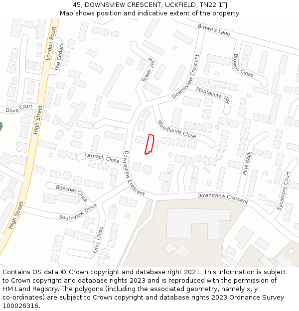 45, DOWNSVIEW CRESCENT, UCKFIELD, TN22 1TJ: Location map and indicative extent of plot