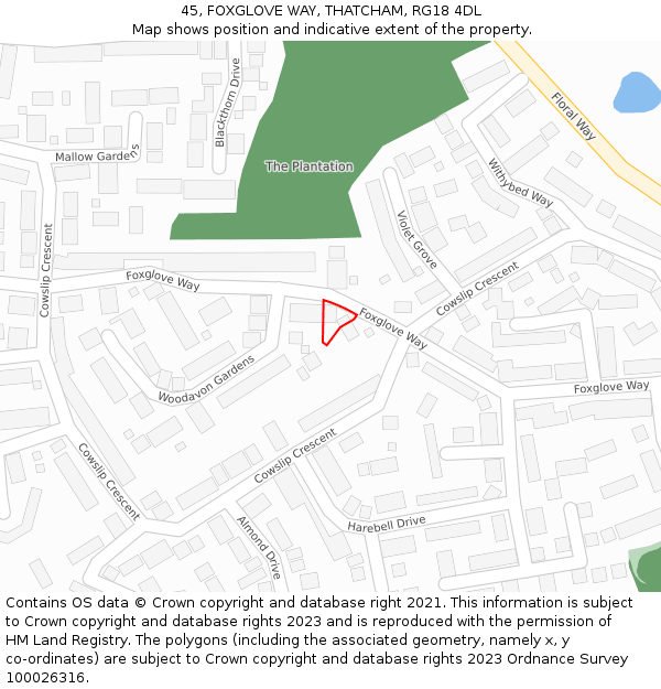 45, FOXGLOVE WAY, THATCHAM, RG18 4DL: Location map and indicative extent of plot