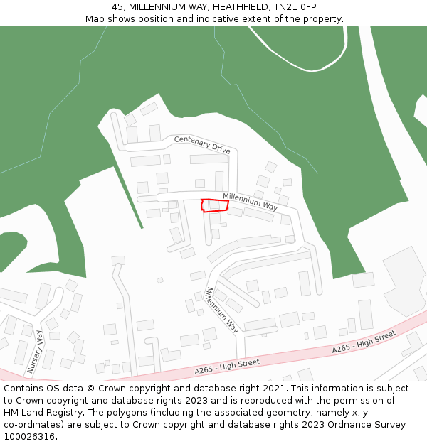 45, MILLENNIUM WAY, HEATHFIELD, TN21 0FP: Location map and indicative extent of plot