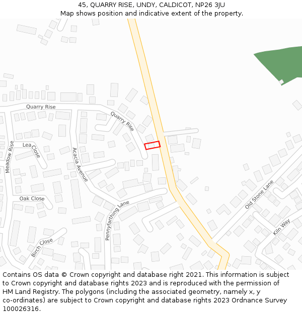 45, QUARRY RISE, UNDY, CALDICOT, NP26 3JU: Location map and indicative extent of plot