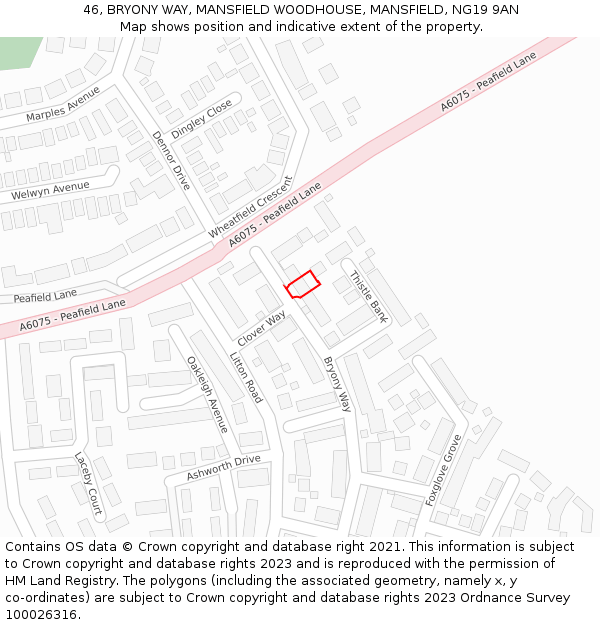 46, BRYONY WAY, MANSFIELD WOODHOUSE, MANSFIELD, NG19 9AN: Location map and indicative extent of plot