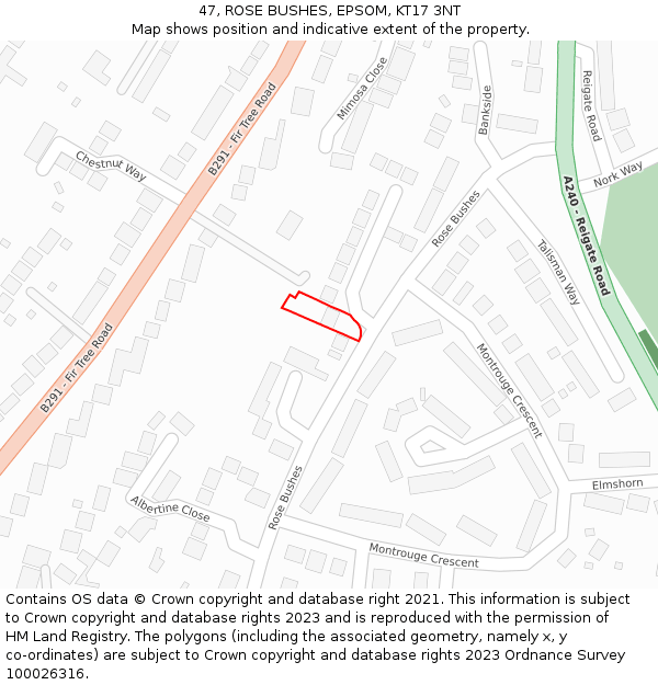 47, ROSE BUSHES, EPSOM, KT17 3NT: Location map and indicative extent of plot