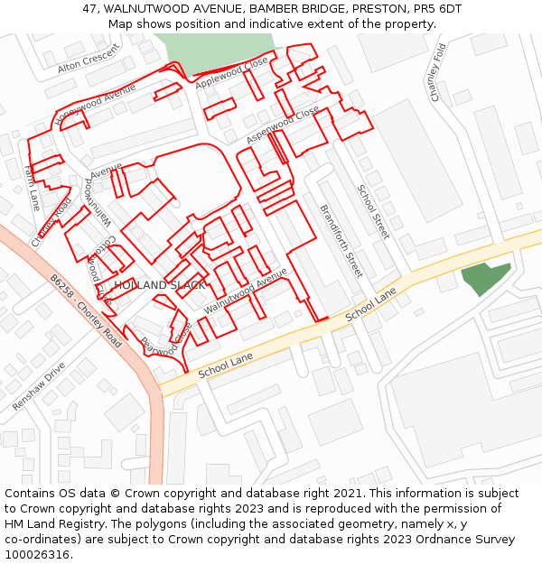 47, WALNUTWOOD AVENUE, BAMBER BRIDGE, PRESTON, PR5 6DT: Location map and indicative extent of plot