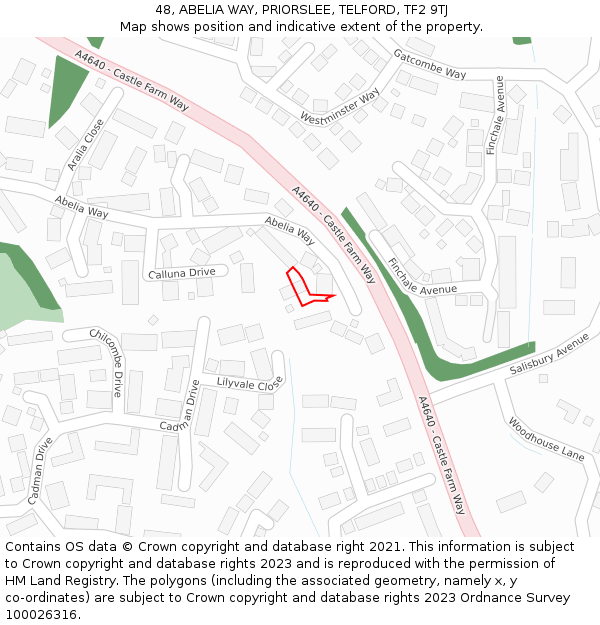 48, ABELIA WAY, PRIORSLEE, TELFORD, TF2 9TJ: Location map and indicative extent of plot