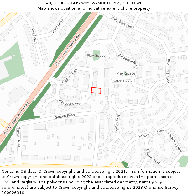 48, BURROUGHS WAY, WYMONDHAM, NR18 0WE: Location map and indicative extent of plot