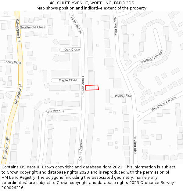 48, CHUTE AVENUE, WORTHING, BN13 3DS: Location map and indicative extent of plot