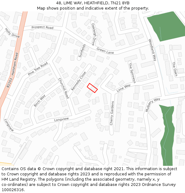 48, LIME WAY, HEATHFIELD, TN21 8YB: Location map and indicative extent of plot