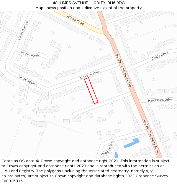 48, LIMES AVENUE, HORLEY, RH6 9DG: Location map and indicative extent of plot