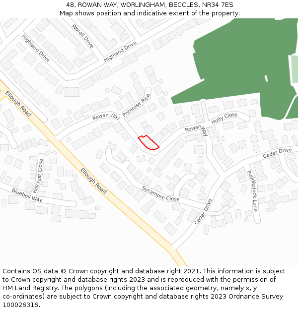 48, ROWAN WAY, WORLINGHAM, BECCLES, NR34 7ES: Location map and indicative extent of plot