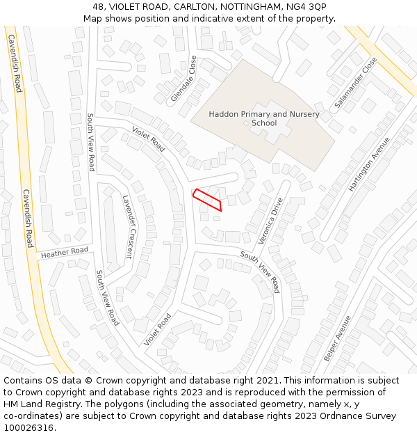 48, VIOLET ROAD, CARLTON, NOTTINGHAM, NG4 3QP: Location map and indicative extent of plot
