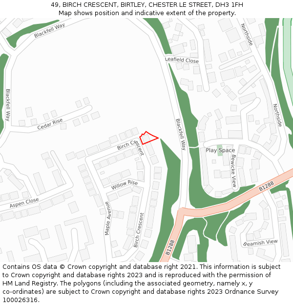 49, BIRCH CRESCENT, BIRTLEY, CHESTER LE STREET, DH3 1FH: Location map and indicative extent of plot