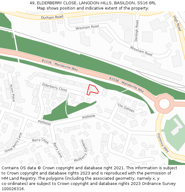 49, ELDERBERRY CLOSE, LANGDON HILLS, BASILDON, SS16 6RL: Location map and indicative extent of plot