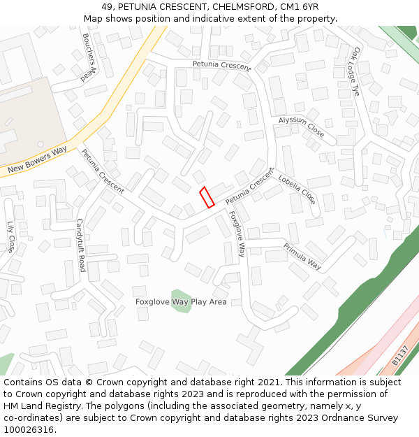 49, PETUNIA CRESCENT, CHELMSFORD, CM1 6YR: Location map and indicative extent of plot