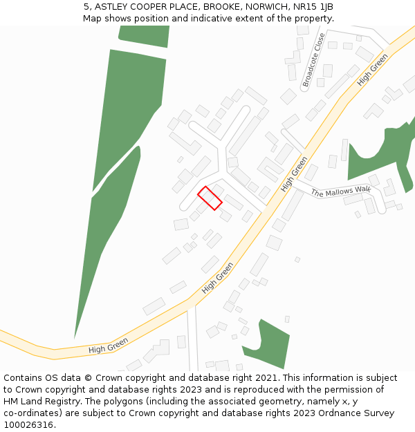 5, ASTLEY COOPER PLACE, BROOKE, NORWICH, NR15 1JB: Location map and indicative extent of plot