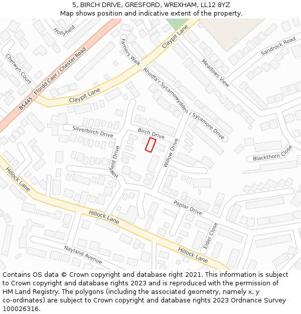 5, BIRCH DRIVE, GRESFORD, WREXHAM, LL12 8YZ: Location map and indicative extent of plot