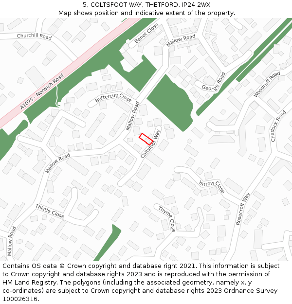 5, COLTSFOOT WAY, THETFORD, IP24 2WX: Location map and indicative extent of plot