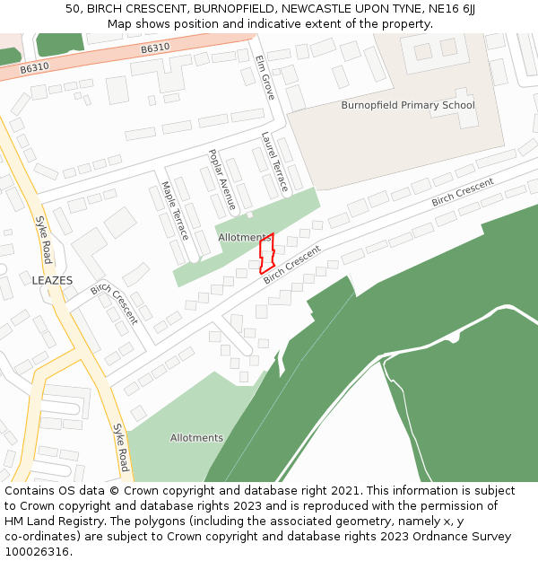 50, BIRCH CRESCENT, BURNOPFIELD, NEWCASTLE UPON TYNE, NE16 6JJ: Location map and indicative extent of plot
