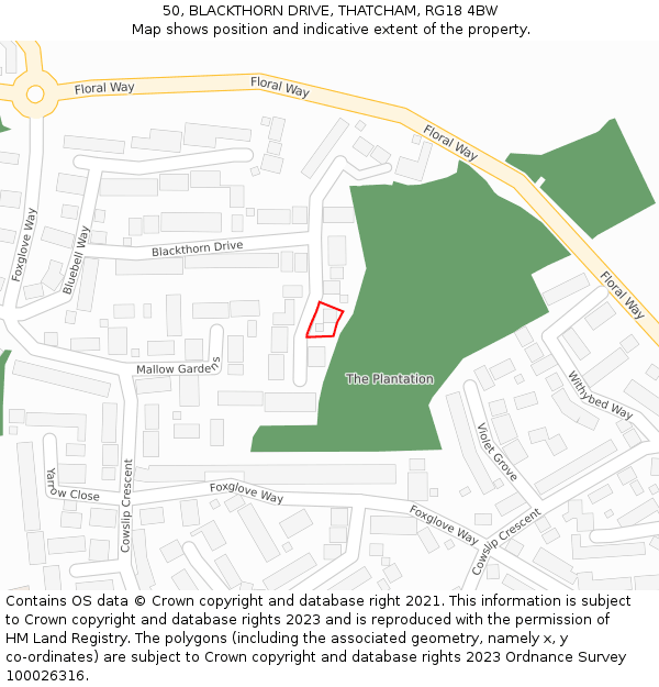 50, BLACKTHORN DRIVE, THATCHAM, RG18 4BW: Location map and indicative extent of plot