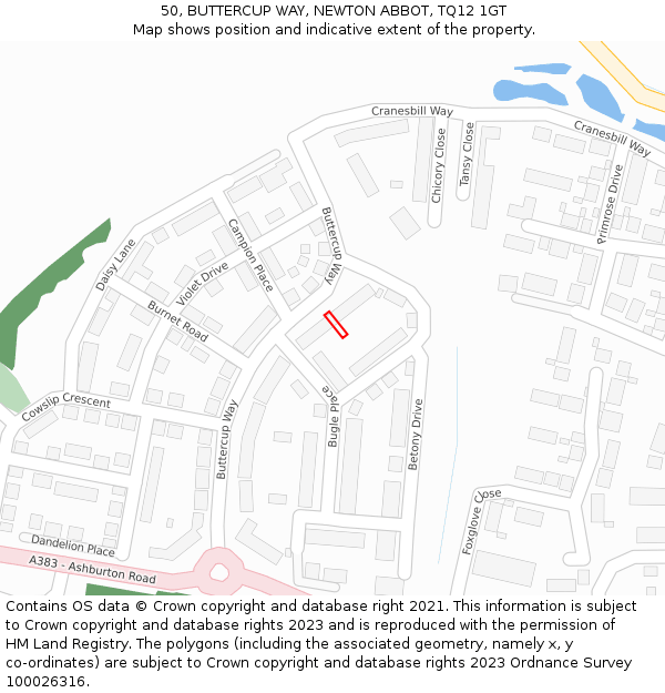 50, BUTTERCUP WAY, NEWTON ABBOT, TQ12 1GT: Location map and indicative extent of plot