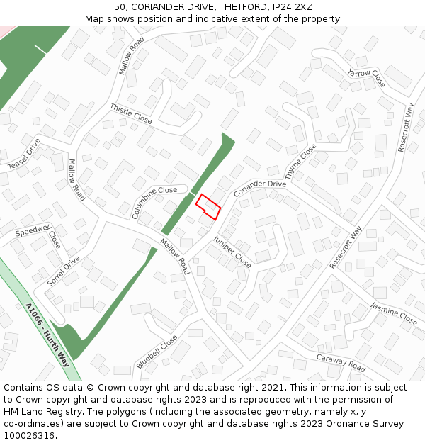 50, CORIANDER DRIVE, THETFORD, IP24 2XZ: Location map and indicative extent of plot