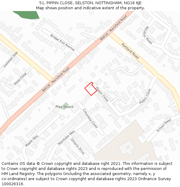 51, PIPPIN CLOSE, SELSTON, NOTTINGHAM, NG16 6JE: Location map and indicative extent of plot