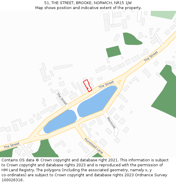 51, THE STREET, BROOKE, NORWICH, NR15 1JW: Location map and indicative extent of plot