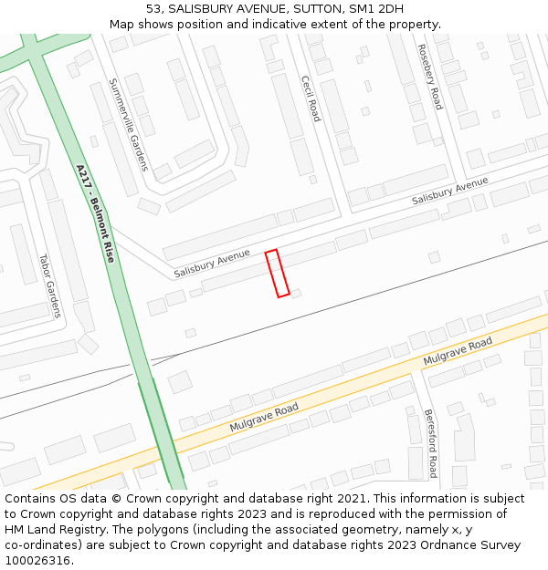 53, SALISBURY AVENUE, SUTTON, SM1 2DH: Location map and indicative extent of plot