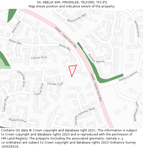 54, ABELIA WAY, PRIORSLEE, TELFORD, TF2 9TJ: Location map and indicative extent of plot